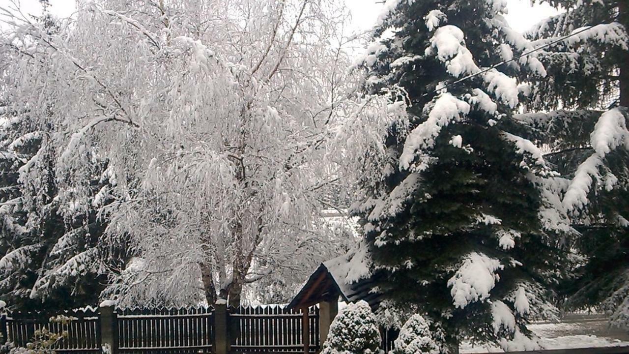 Pokoje Goscinne U Gochy Ustrzyki Dolne Exterior foto